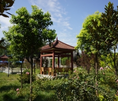 �����Ĺ����h��01